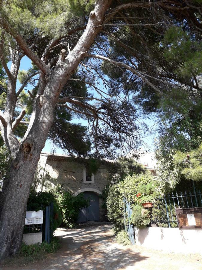 Domaine De La Pinsonniere Villa La Liviniere Buitenkant foto